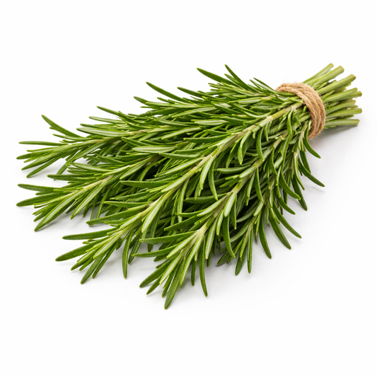 Δενδρολίβανο