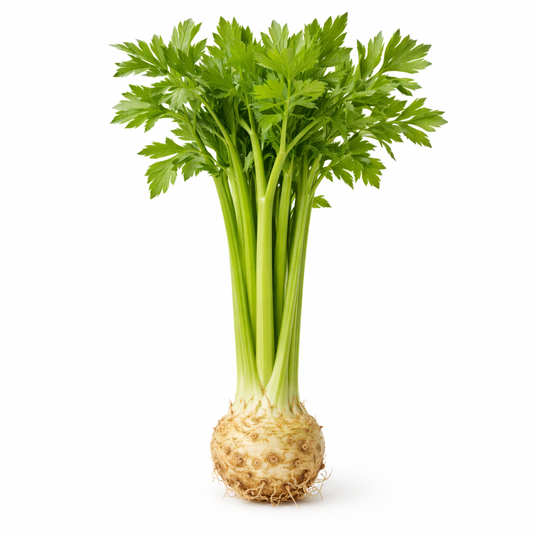 Σελινόριζα