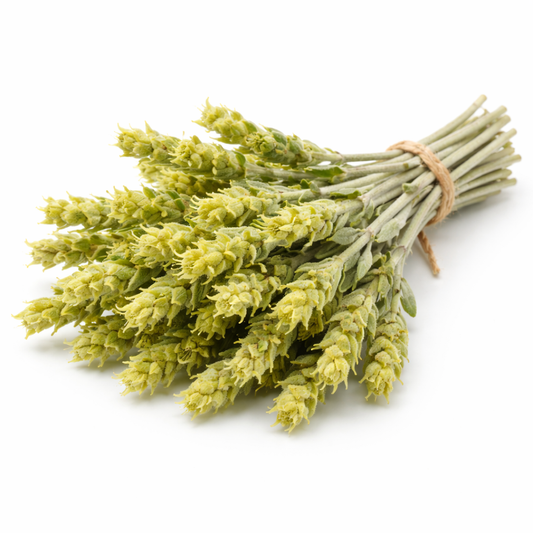 Τσάι του βουνού